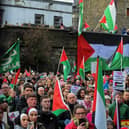 Protestors carry flags and placards during a rally in Guildhall Square in January, calling for a ceasefire in Gaza. Photo: George Sweeney