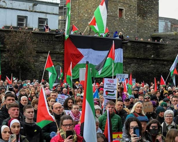 Protestors carry flags and placards during a rally in Guildhall Square in January, calling for a ceasefire in Gaza. Photo: George Sweeney
