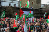 Protestors carry flags and placards during a rally in Guildhall Square in January, calling for a ceasefire in Gaza. Photo: George Sweeney