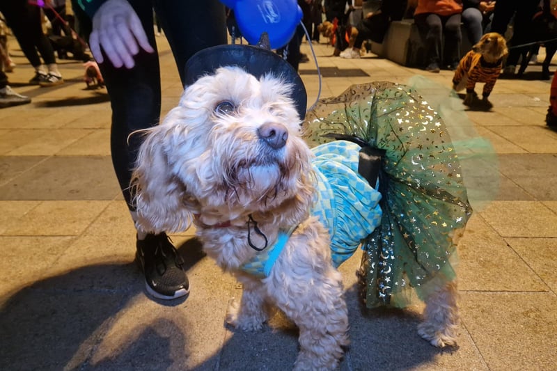 Luna as a witch.