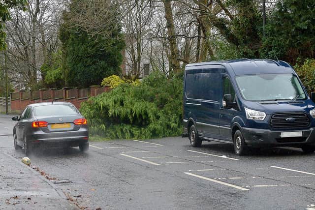 2020: File picture of fallen trees during Storm Brendan. Weather experts have urged caution as there may be fallen trees this evening as Storm Isha arrives. DER0220GS – 004