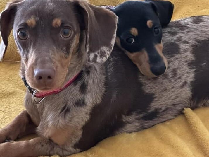 Jessie and Penny