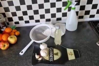 What you will need to make a garlic wash.