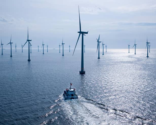 Niall Blaney has claimed 'most of the energy produced by the wind farms and hydro station is currently dumped and wasted'. Eirgrid says this is not the case.