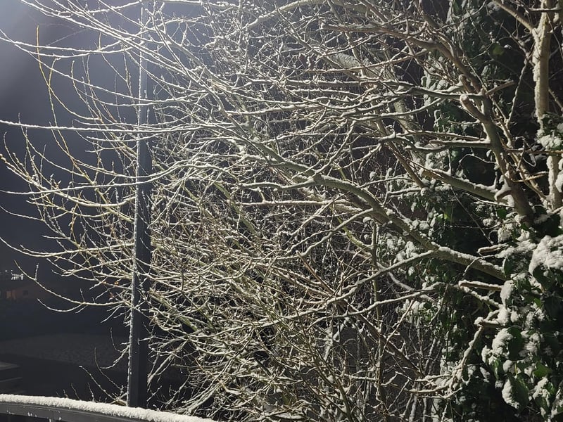 Derry Journal readers' snow pics
