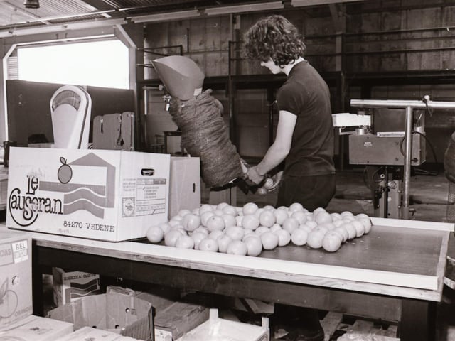 40 years ago: 1984 Quigg's Fruit Store at Springtown in Derry.