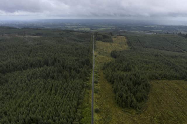 A road runs across the border cutting through Forestry near Eshbrack Bog. (Photo by Dan Kitwood/Getty Images)