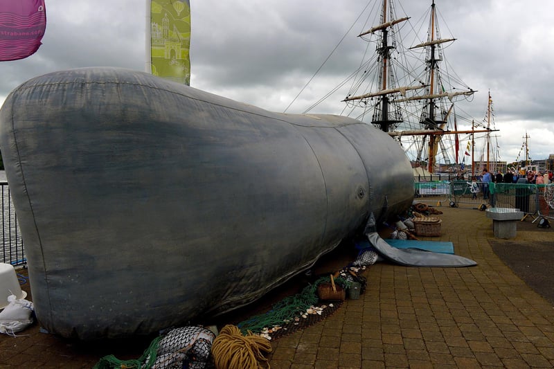 A huge inflatable Whale at the Foyle Maritime Festival. Photo: George Sweeney.  DER2229GS – 049