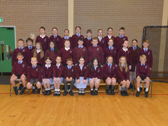 Mrs Bonner's P7 class at St. John's Primary School.