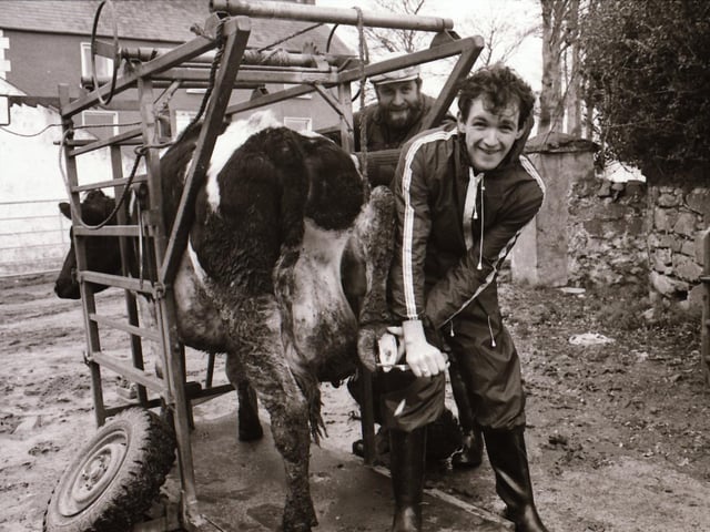 Donegal Farm Relief services.