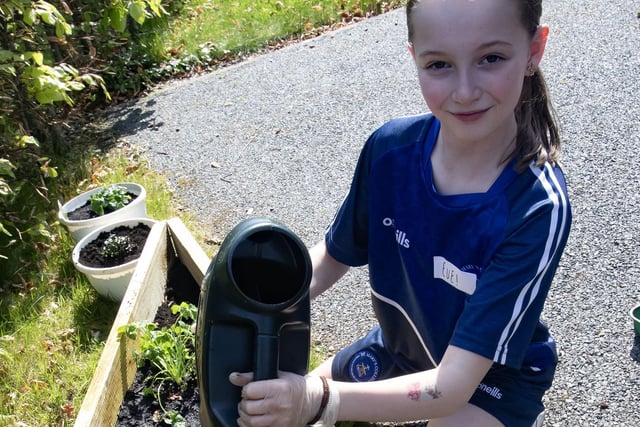 Year 8 St. Mary's student Eve Courtney hard at work in the garden.