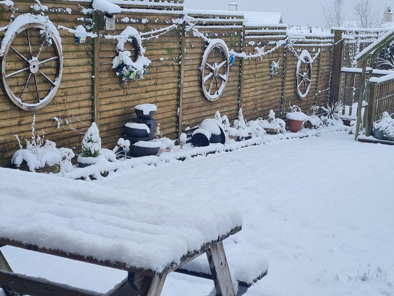 Derry Journal readers' snow pics