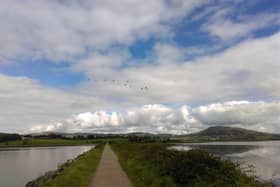 Inch is a haven for wild birds.