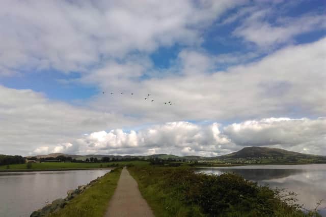 Inch is a haven for wild birds.