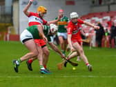 Reese McSorley looks set to miss the visit of Kildare to Owenbeg this Sunday.. Photo: George Sweeney. DER2306GS – 24
