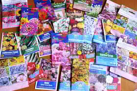 Slightly ambitious perhaps, but these are some of the plants I'm planning to grow from seed this year.