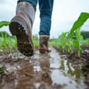 More famland faces flooding (photo: Adobe)
