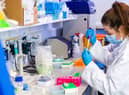 A researcher in the Ulster University Personalised Medicine Centre
