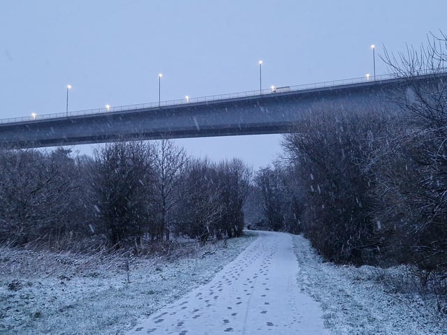 Bay Road Park Local Nature Reserve receives a blanket of snow.