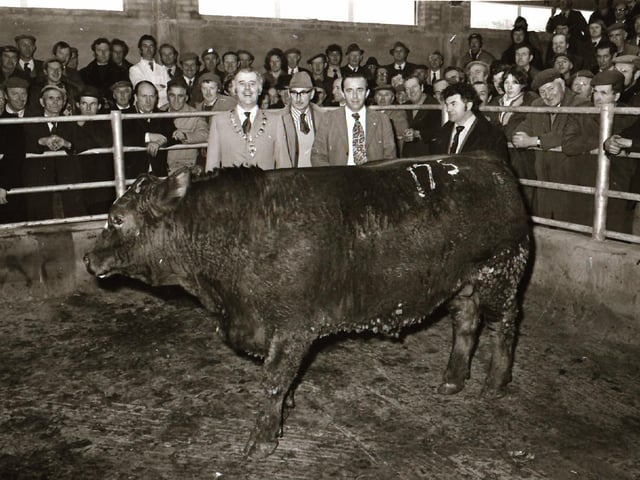 Opening of the Livestock Mark at Lisahally.