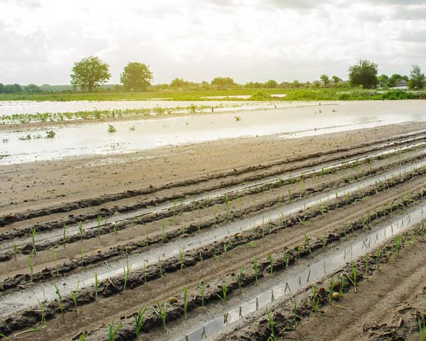 Farmers are really struggling after so much rain has fallen. Photo: Adobe