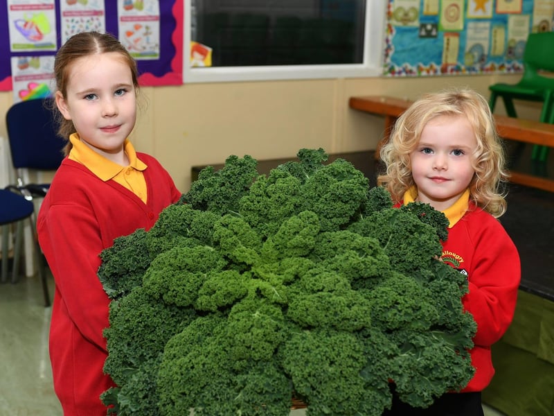 Ballougry Primary School pupils Everly (P3) and Olivia (P1) pictured at the Harvest Assembly and Food Bank held in the school on Wednesday morning. Photo: George Sweeney