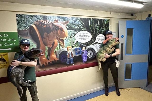 Roar Roar Dinosaur Experience visiting Altnagelvin Hospital last week.