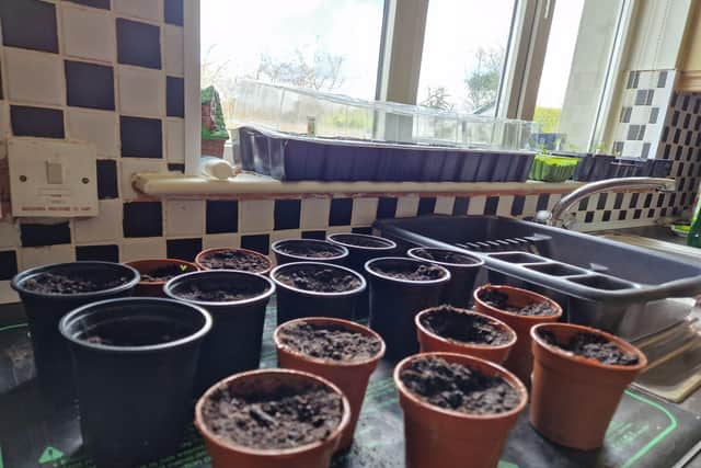 Heat mats and propagator tray kits can be useful for keeping seeds and soil warm.