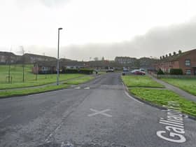 The vehicle was burnt out in Galliagh Park.
