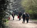 Hundred Acre Woods is popular with dog walkers
Picture: Sam Stephenson.