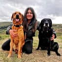 Rachel Bean is giving this advice to Derry dog owners - Animal News Agency