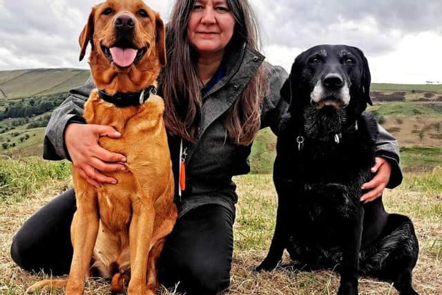 Rachel Bean is giving this advice to Derry dog owners - Animal News Agency