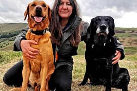 Rachel Bean is giving this advice to Derry dog owners - Animal News Agency