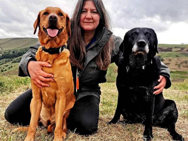 Rachel Bean is giving this advice to Derry dog owners - Animal News Agency