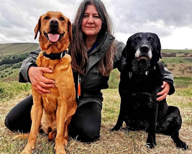 Rachel Bean is giving this advice to Derry dog owners - Animal News Agency