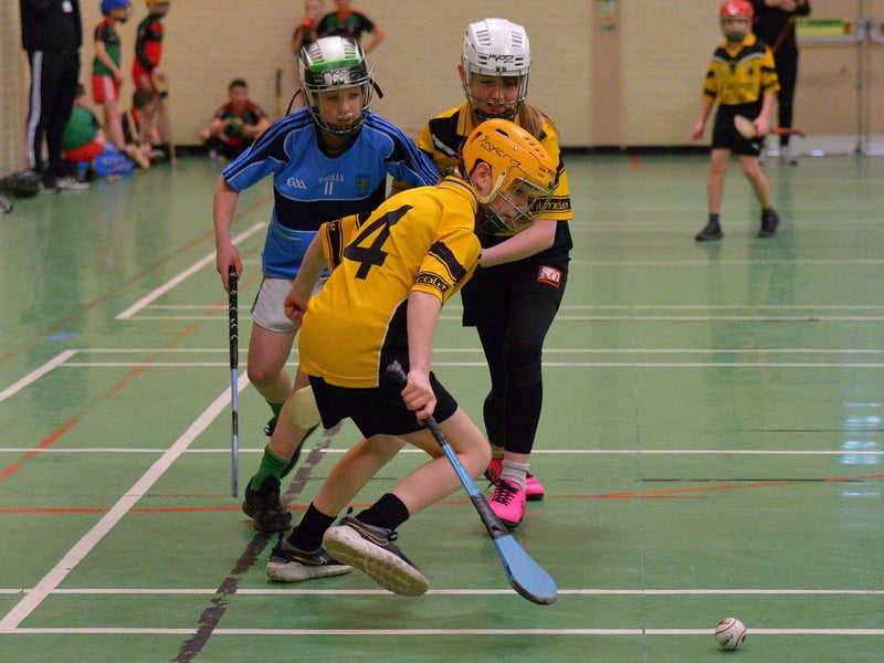 The Model take on Holybush at inaugural Primary Schools Hurling Championships at the Templemore Sports Complex. Photo: George Sweeney. DER2305GS – 129