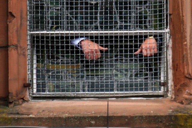 Early indications as to the nature of the Lord Saville Report on 'Bloody Sunday', as relatives give the 'thumbs-up' sign from behind the caged windows of the Guildhall. lS2410-518MT.