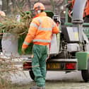 A Derry councillor has encouraged people with real Christmas trees to donate them to the Foyle Hospice’s recycling scheme.
