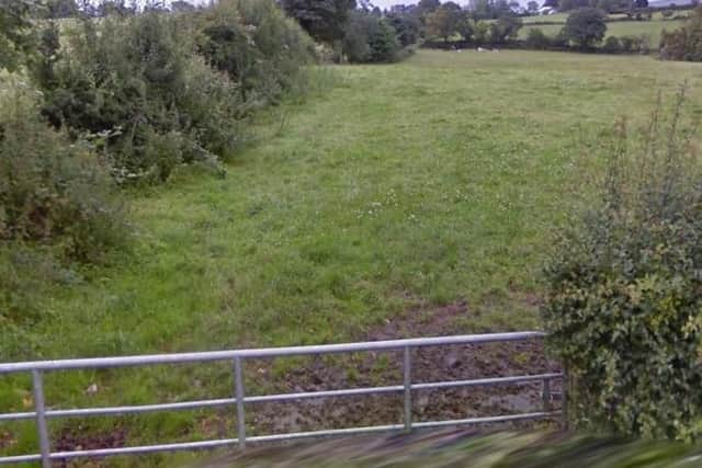 Pedestrian and cycle access will be provided onto the Ballougry Road along this hedgerow.
