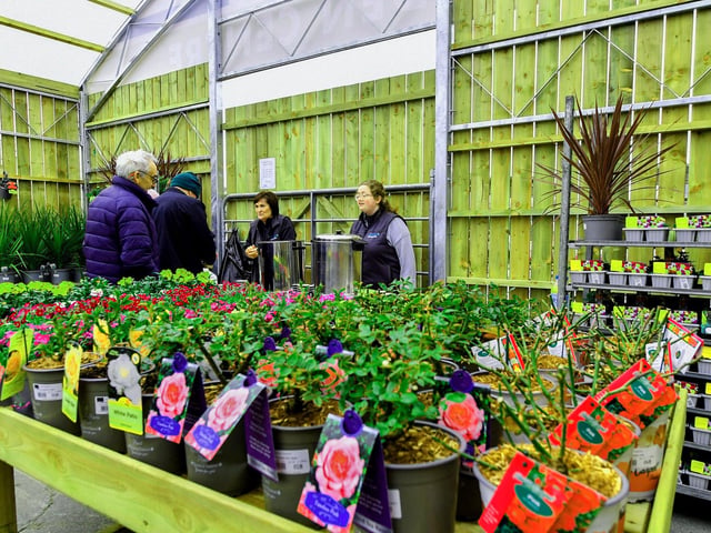 The newly opened Garden Centre at the Inishowen Cooperative Centre in Buncrana. Photo: George Sweeney