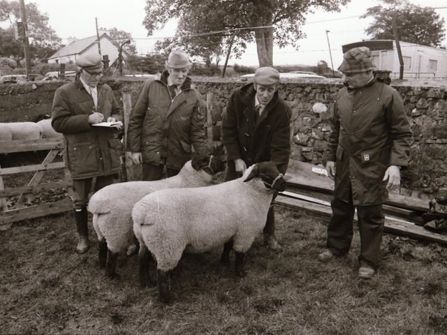 Inishowen Agricultural Show at Tul Na Rí, Carndonagh.