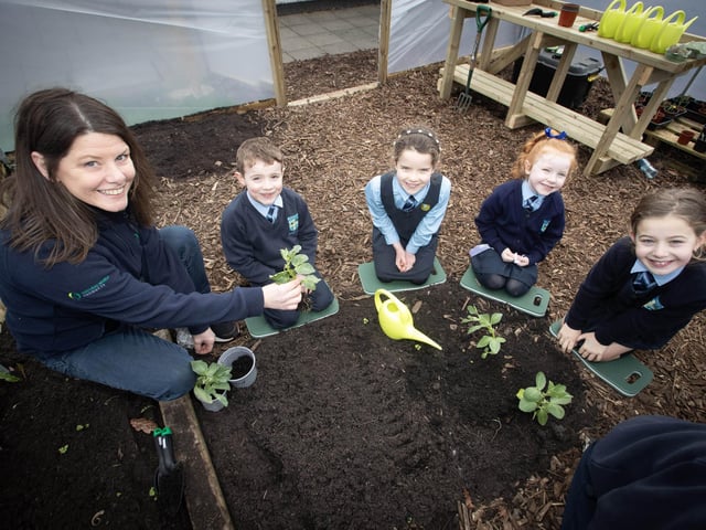 NWP's Sharon working with pupils Liam, Cara, Alanah and Ora in the school's new polytunnel.
