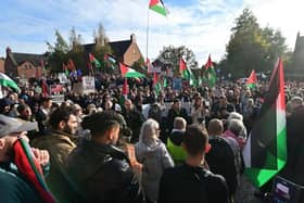 Pro-Palestinian protestors during a rally in Belfast on Saturday  Pic: Colm Lenaghan/Pacemaker