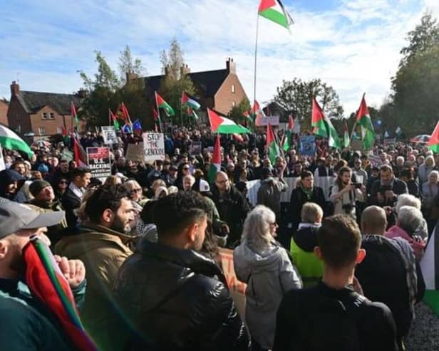 Pro-Palestinian protestors during a rally in Belfast on Saturday  Pic: Colm Lenaghan/Pacemaker