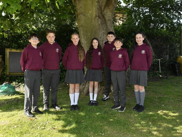 Mr McLaughlin's P7 class at Culmore Primary School.