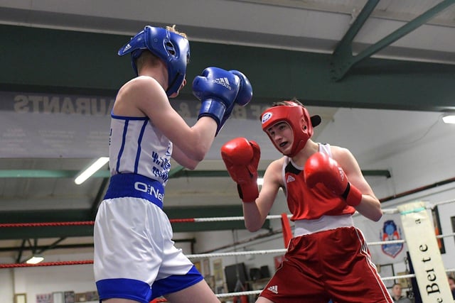 Oran Devine of Star of the Sea, left, boxing Michael McAleer, The Loup.  Photo: George Sweeney