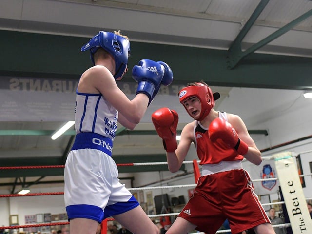 Oran Devine of Star of the Sea, left, boxing Michael McAleer, The Loup. Photo: George Sweeney