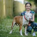 Grace Turner is a dog lover and fosterer and has a deep love for the 'bully' breeds. This dog is a Staffordshire Bull Terrier.