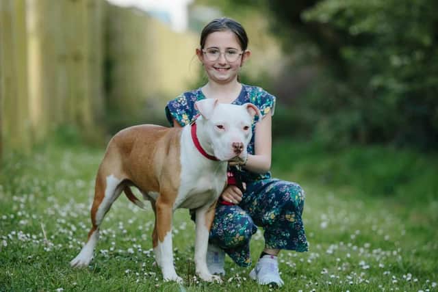 Grace Turner is a dog lover and fosterer and has a deep love for the 'bully' breeds. This dog is a Staffordshire Bull Terrier.
