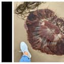A Lion's Mane jellyfish, which was spotted recently on Ludden beach, Buncrana. Photo: Geraldine McGann via Lough Swilly RNLI.